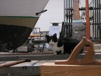 Cantiere Navale Seri The boatyard